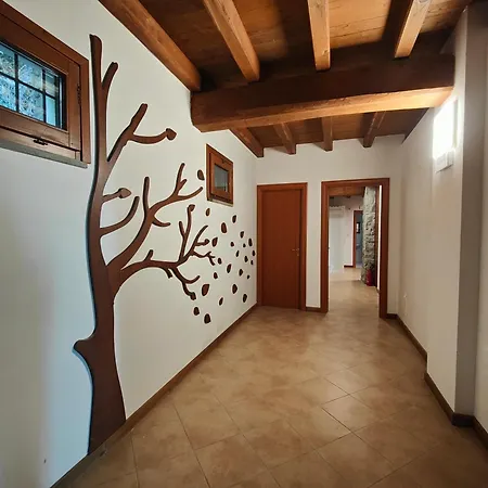 Il Faggio Soriano nel Cimino